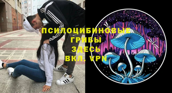 а пвп мука Беломорск