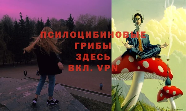 а пвп мука Беломорск