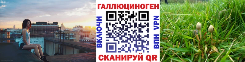 Галлюциногенные грибы Magic Shrooms  где купить наркотик  Городец 