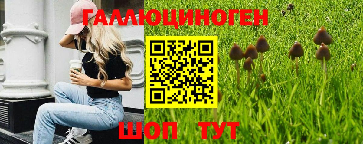 Галлюциногенные грибы Magic Shrooms Городец
