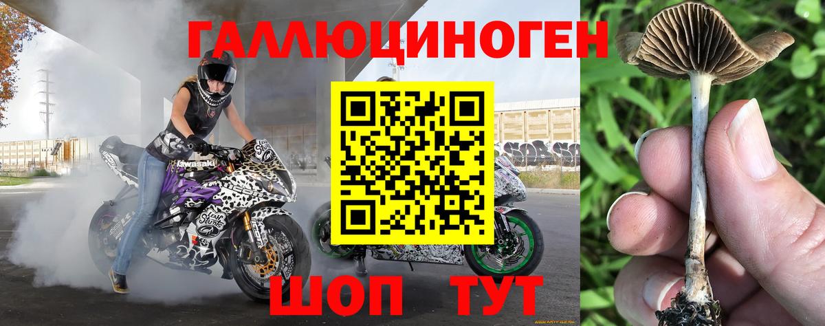 Псилоцибиновые грибы Psilocybine cubensis  Вход с VPN  Городец 